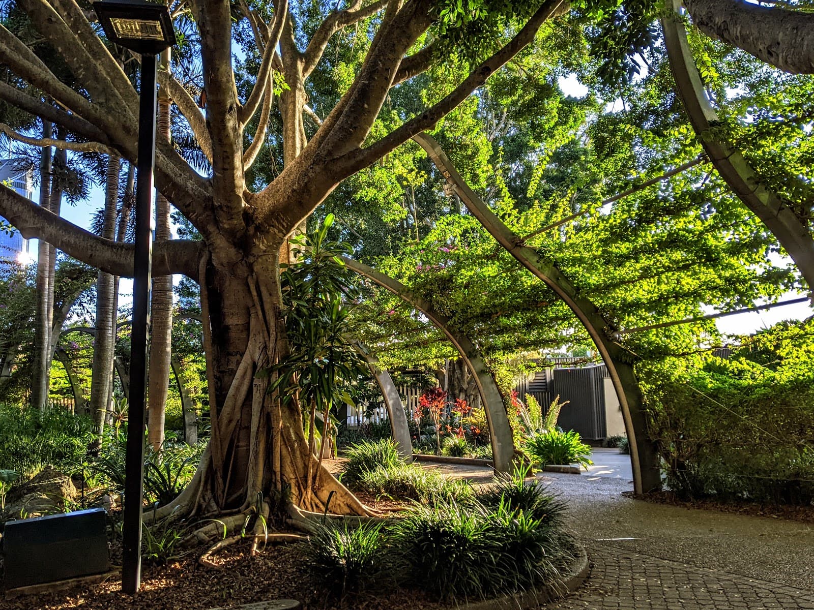 The Arbour Walkway — South Bank, Brisbane
