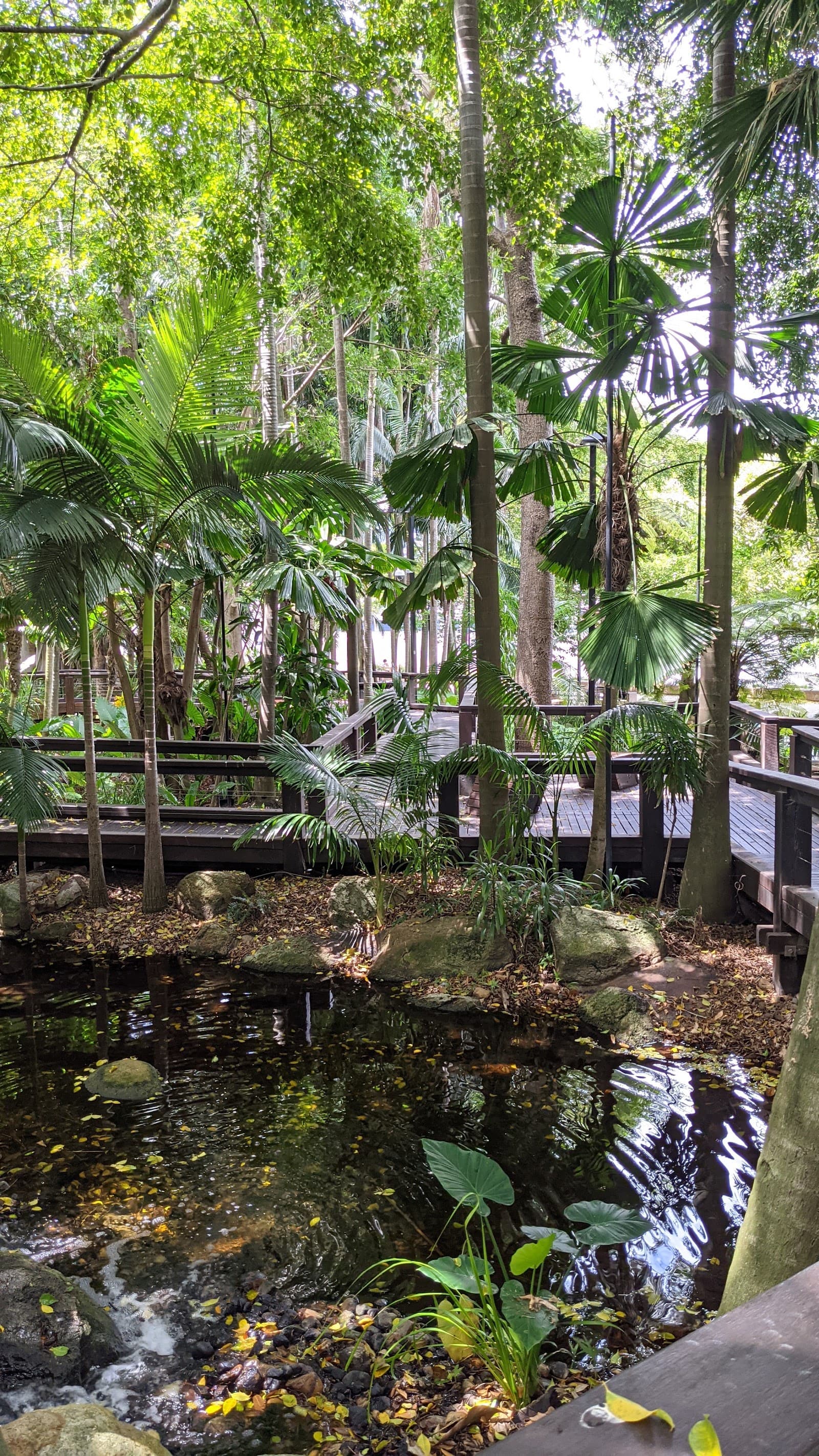 Southbank Parklands Boardwalk — South Bank, Brisbane