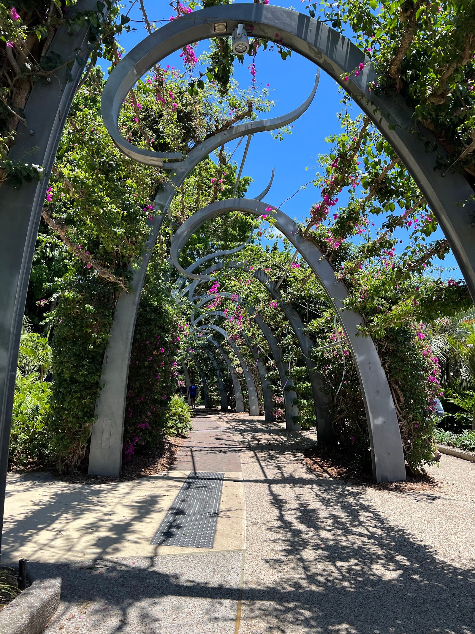 Aquativity — South Brisbane, Brisbane