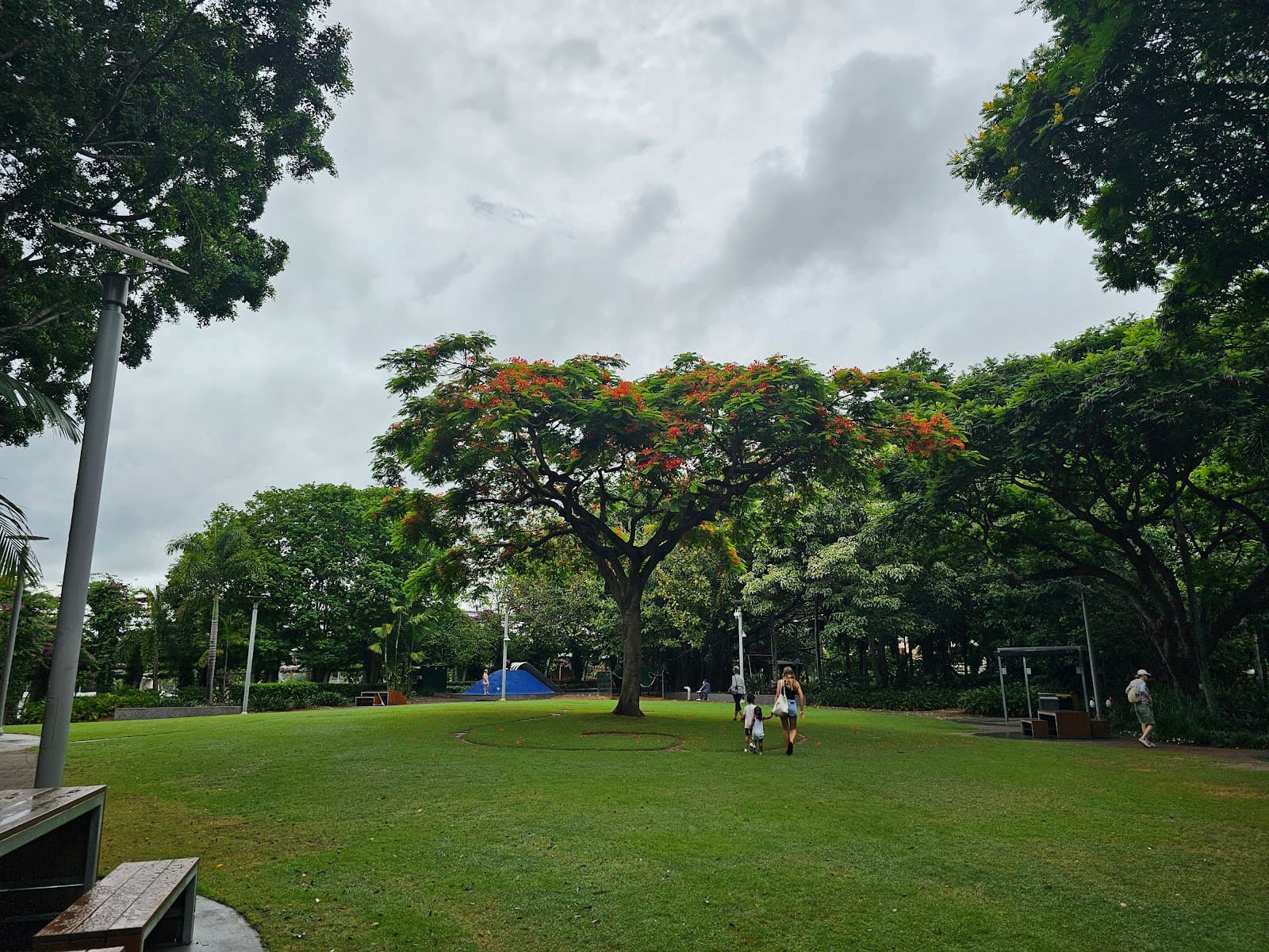 Picnic Island Green — South Brisbane, Brisbane