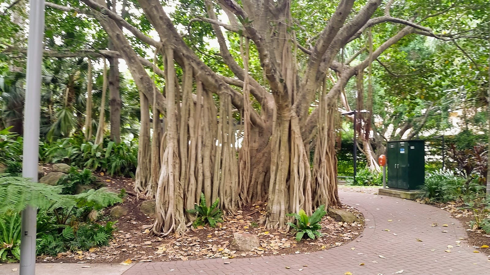 Picnic Island Green — South Brisbane, Brisbane