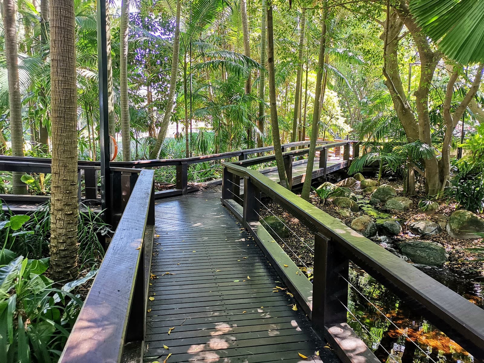 South Bank Rainforest Walk — Indooroopilly, Brisbane