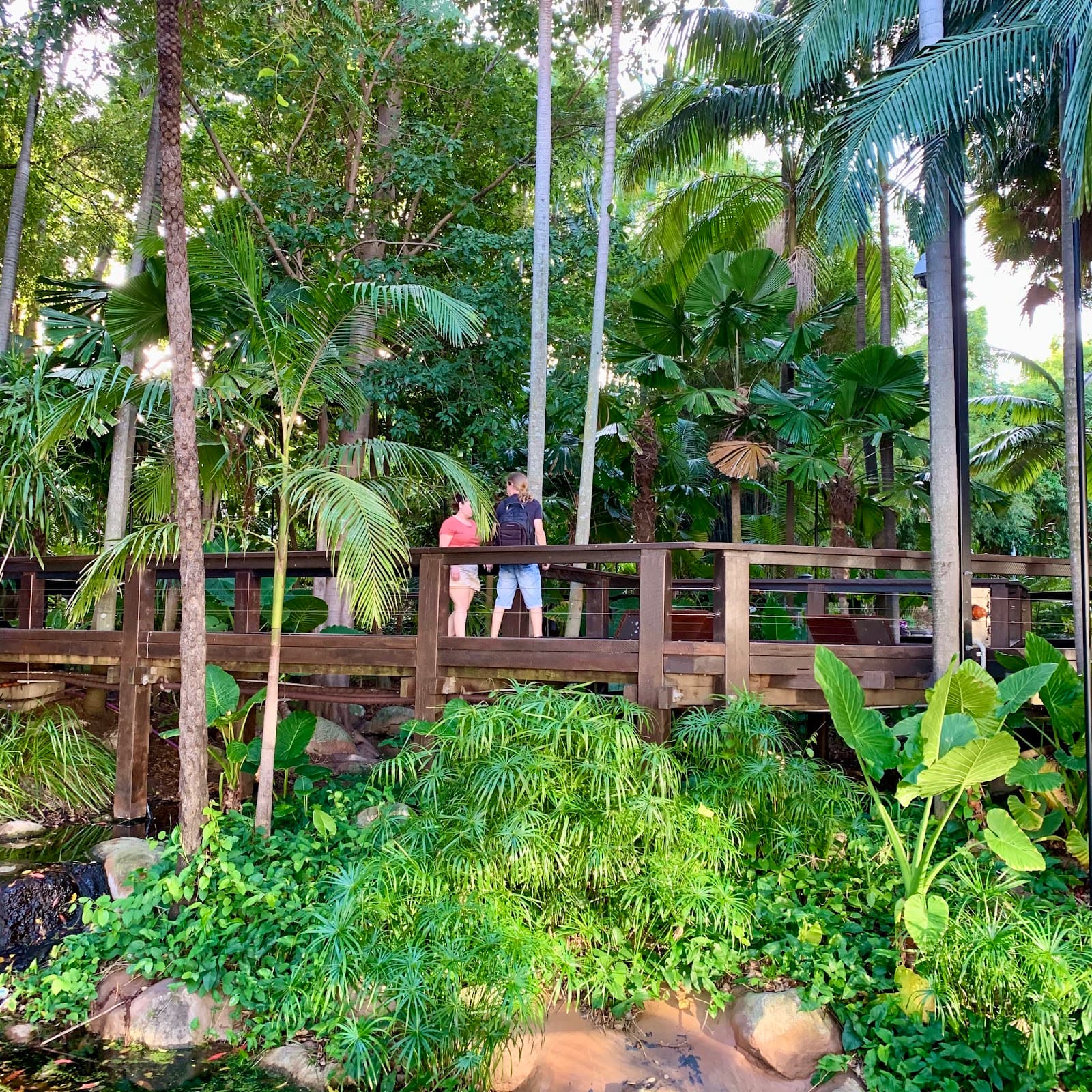 South Bank Rainforest Walk — Indooroopilly, Brisbane