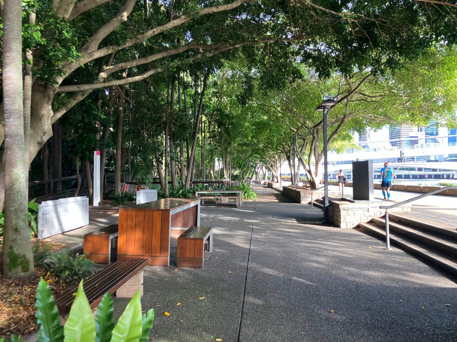 South Bank Rainforest Walk — Indooroopilly, Brisbane