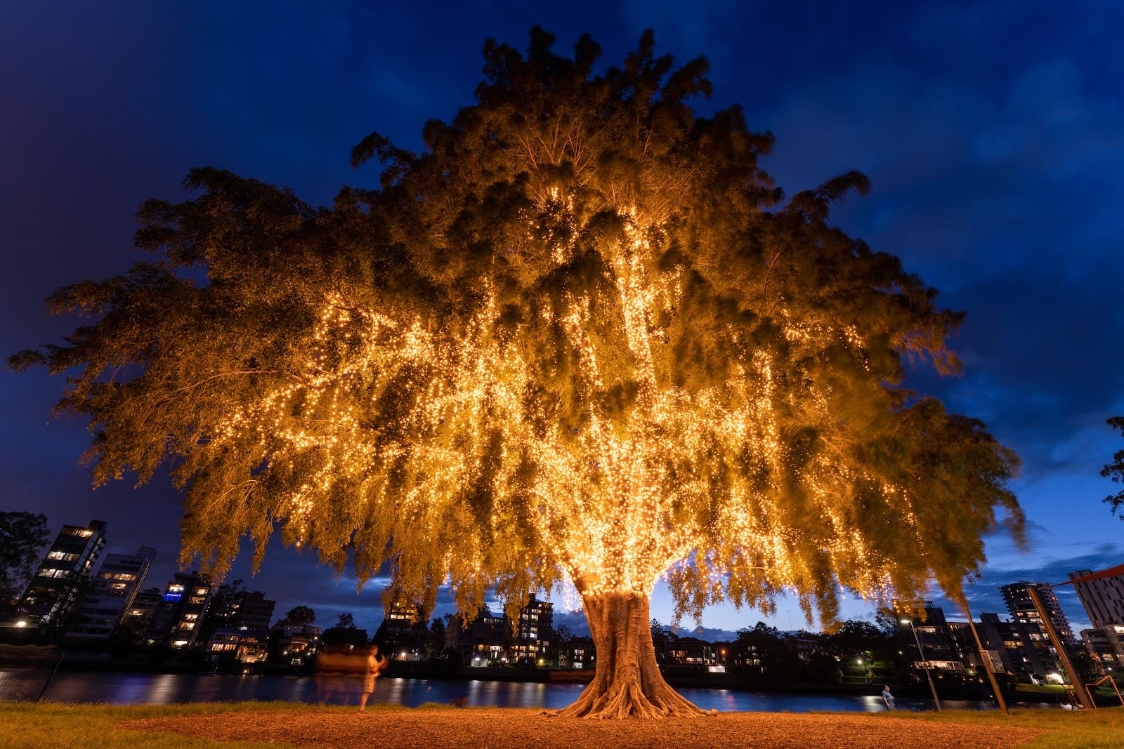 Orleigh Park — West End, Brisbane
