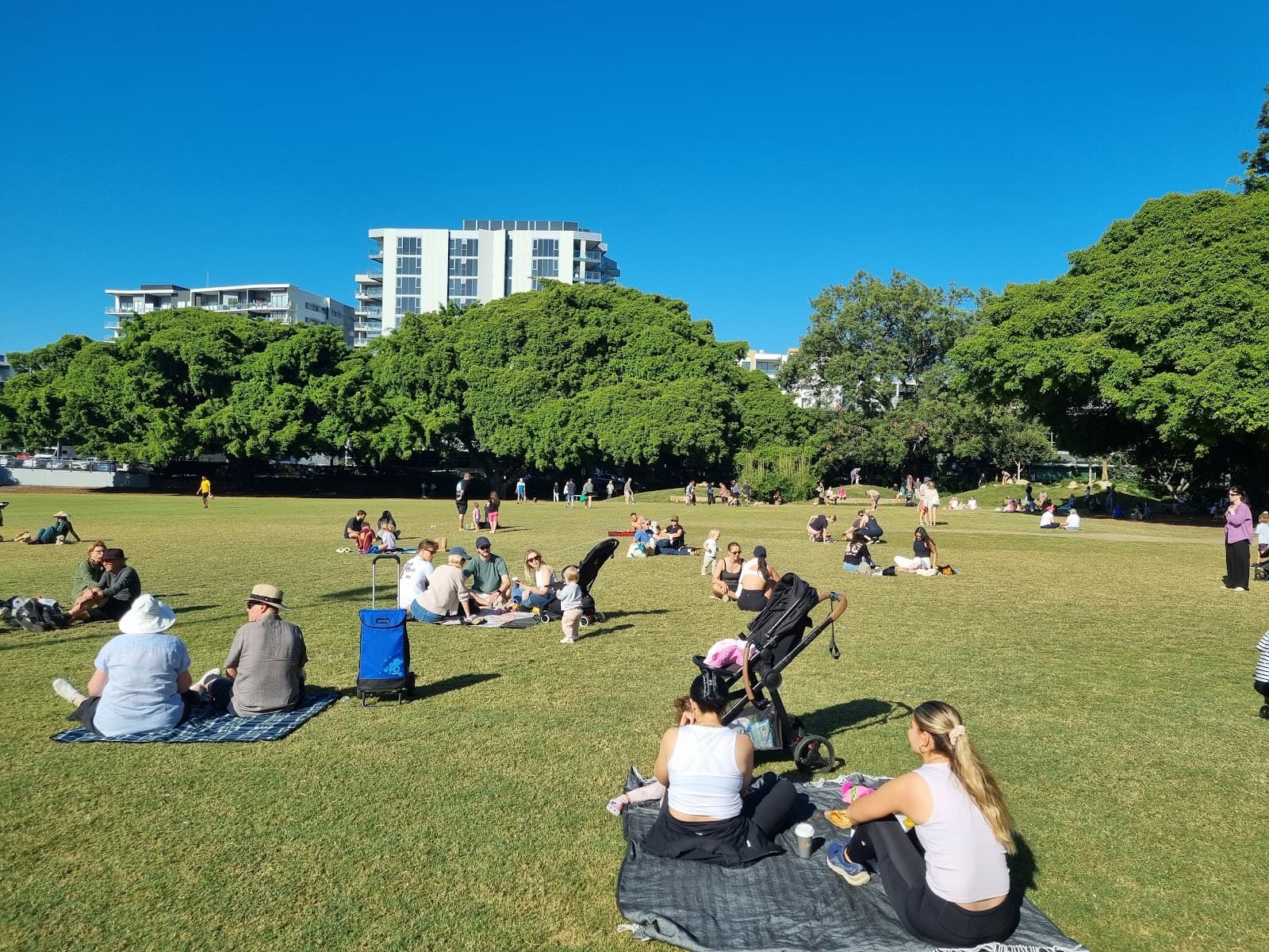 Davies Park — South Brisbane, Brisbane