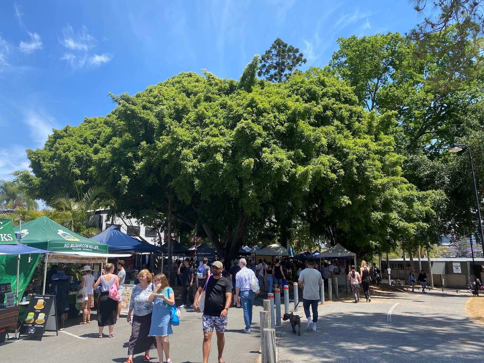 Davies Park — South Brisbane, Brisbane