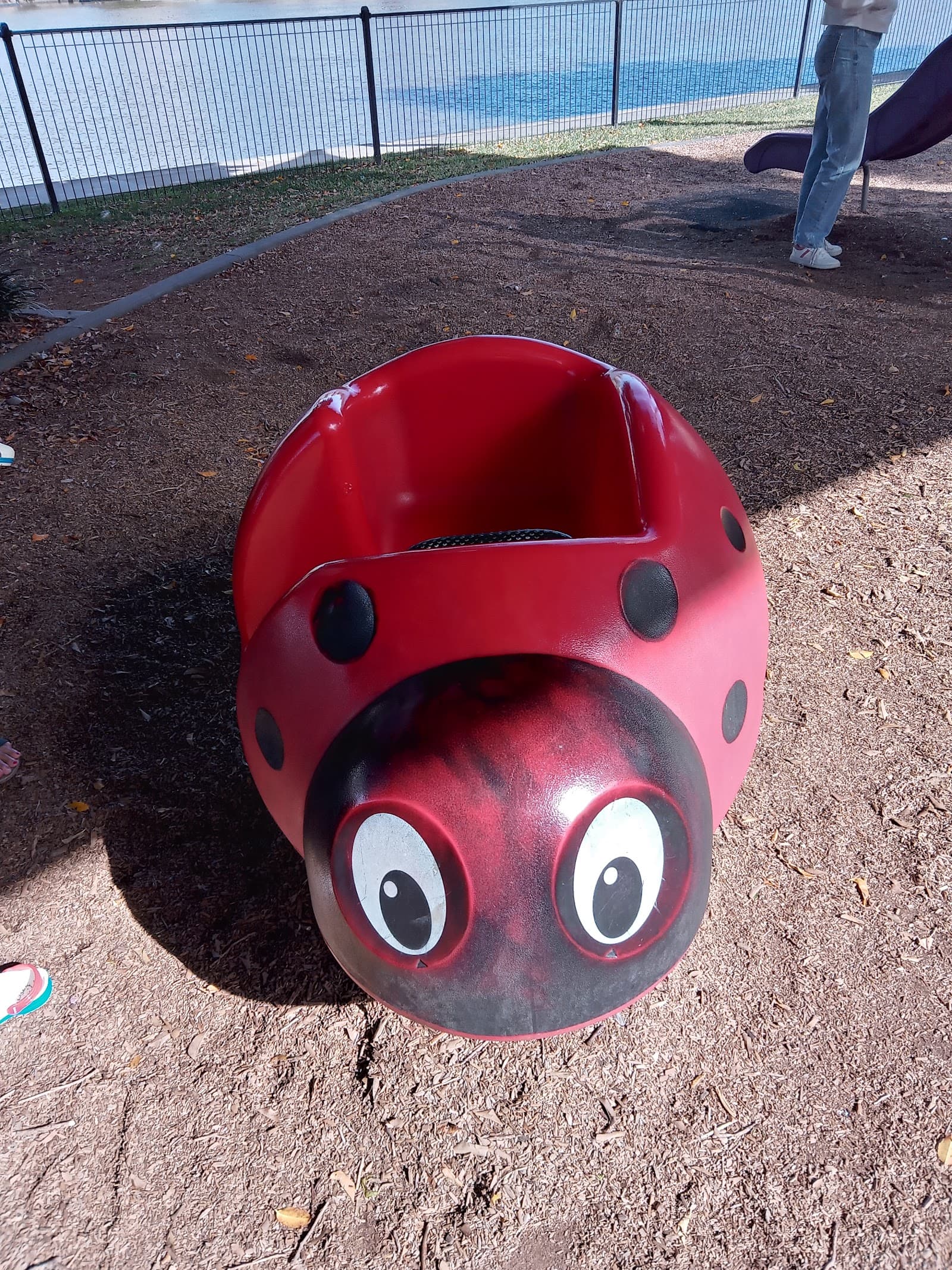 Frog Park (Froggy Park) — West End, Brisbane