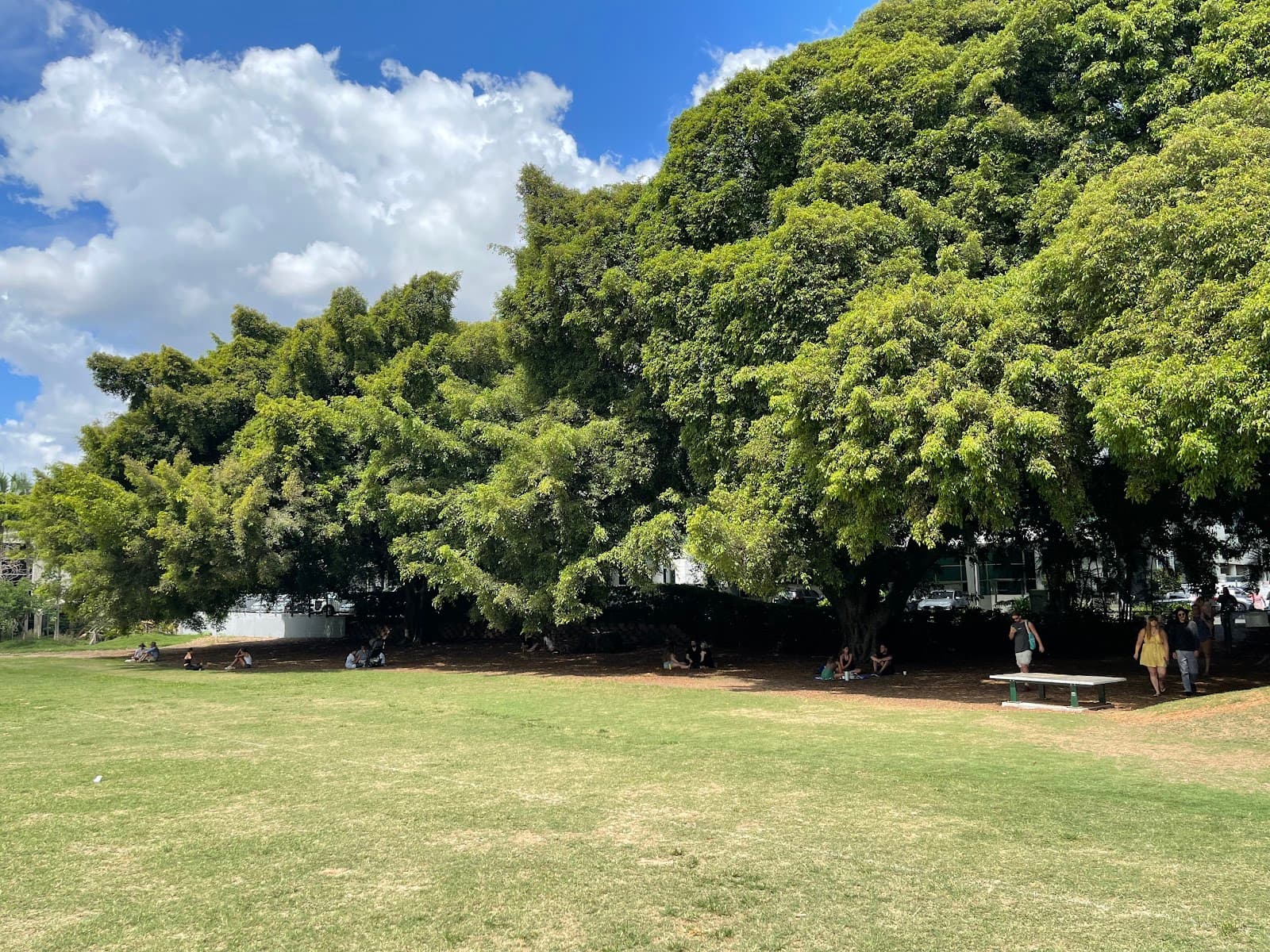 Nature Playground — West End, Brisbane