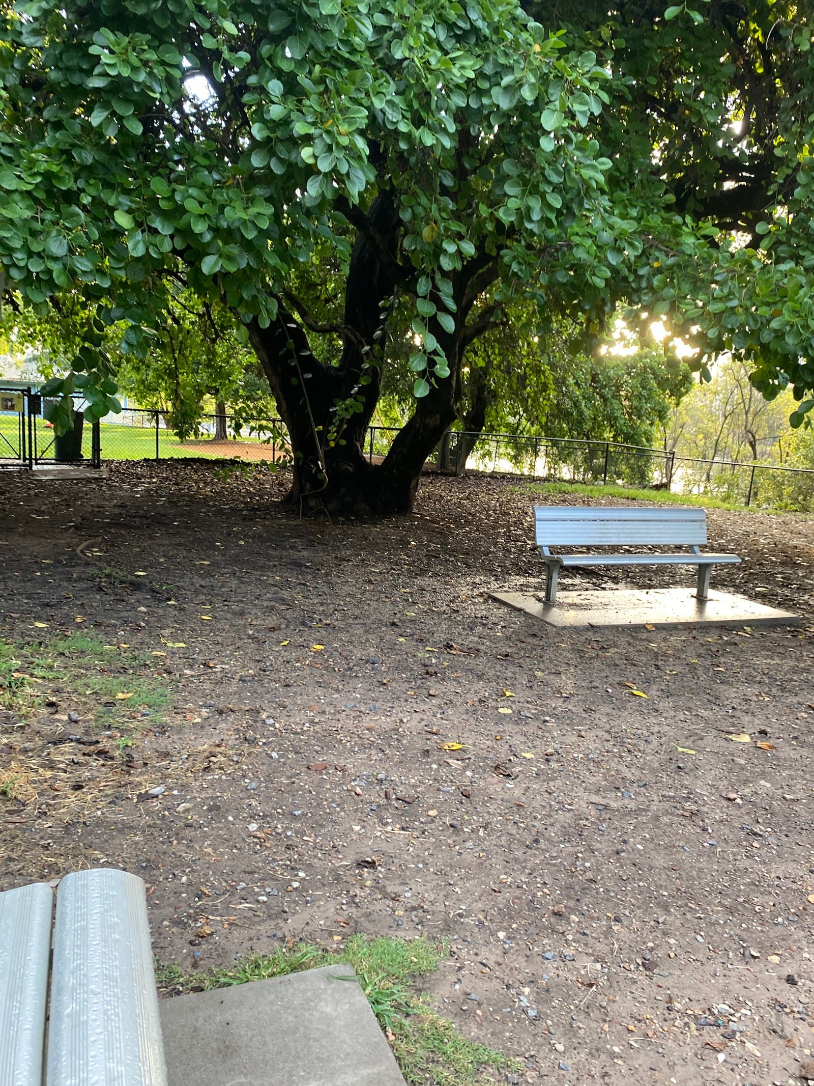 Orleigh Dog Park — West End, Brisbane