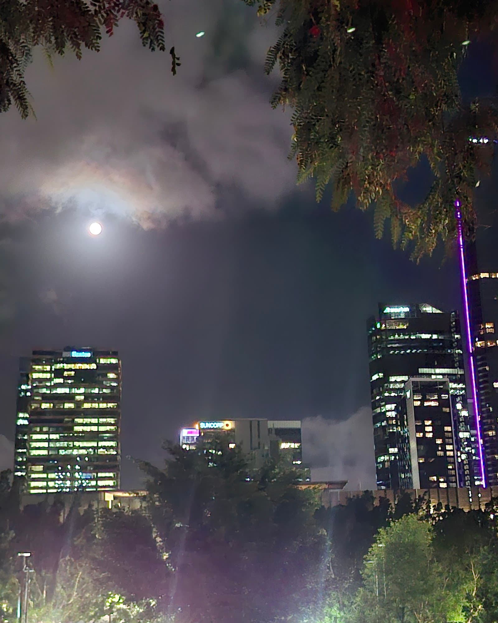 Jolly Place Park — South Brisbane, Brisbane