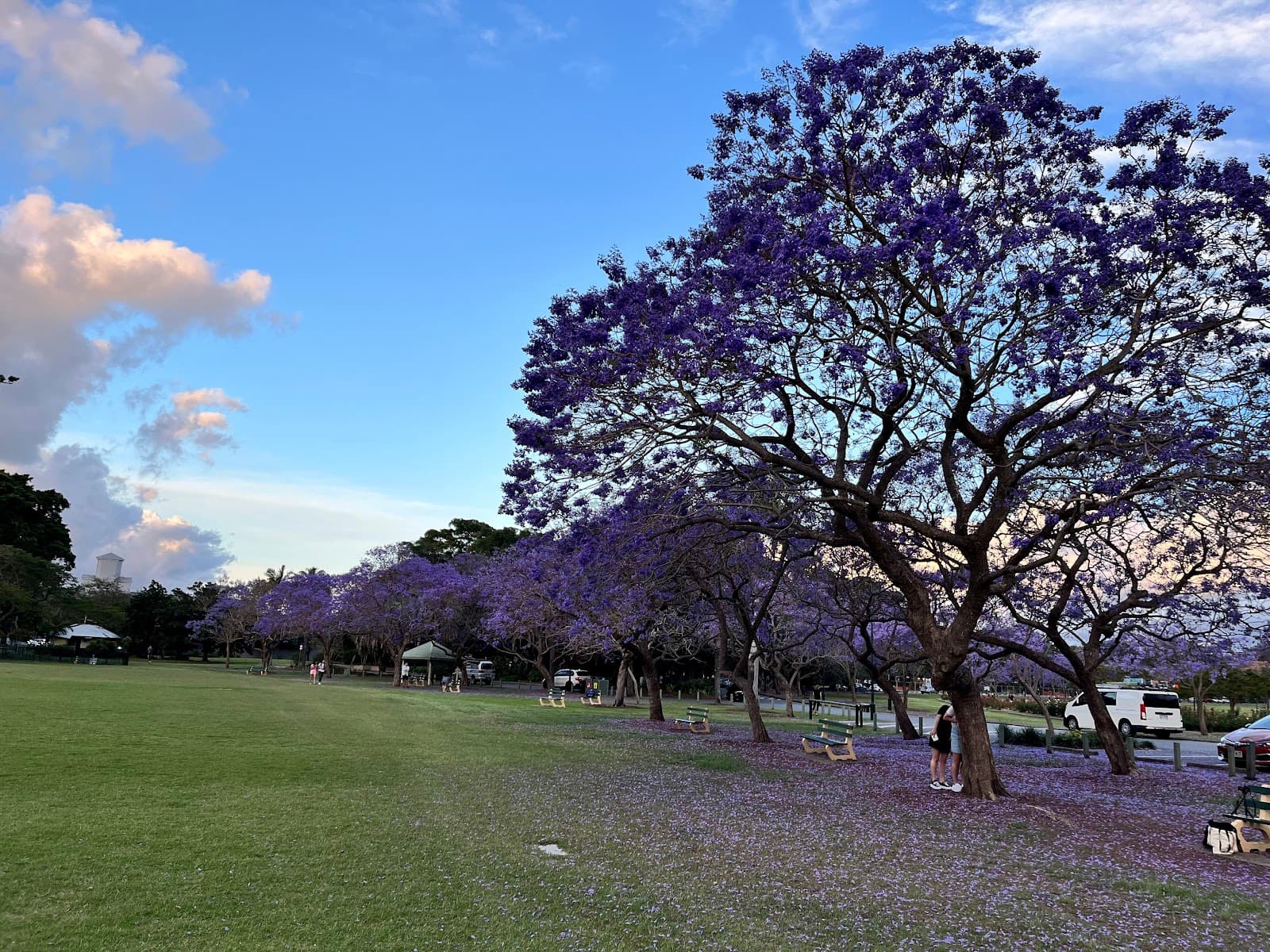 New Farm Park River Hub — New Farm, Brisbane