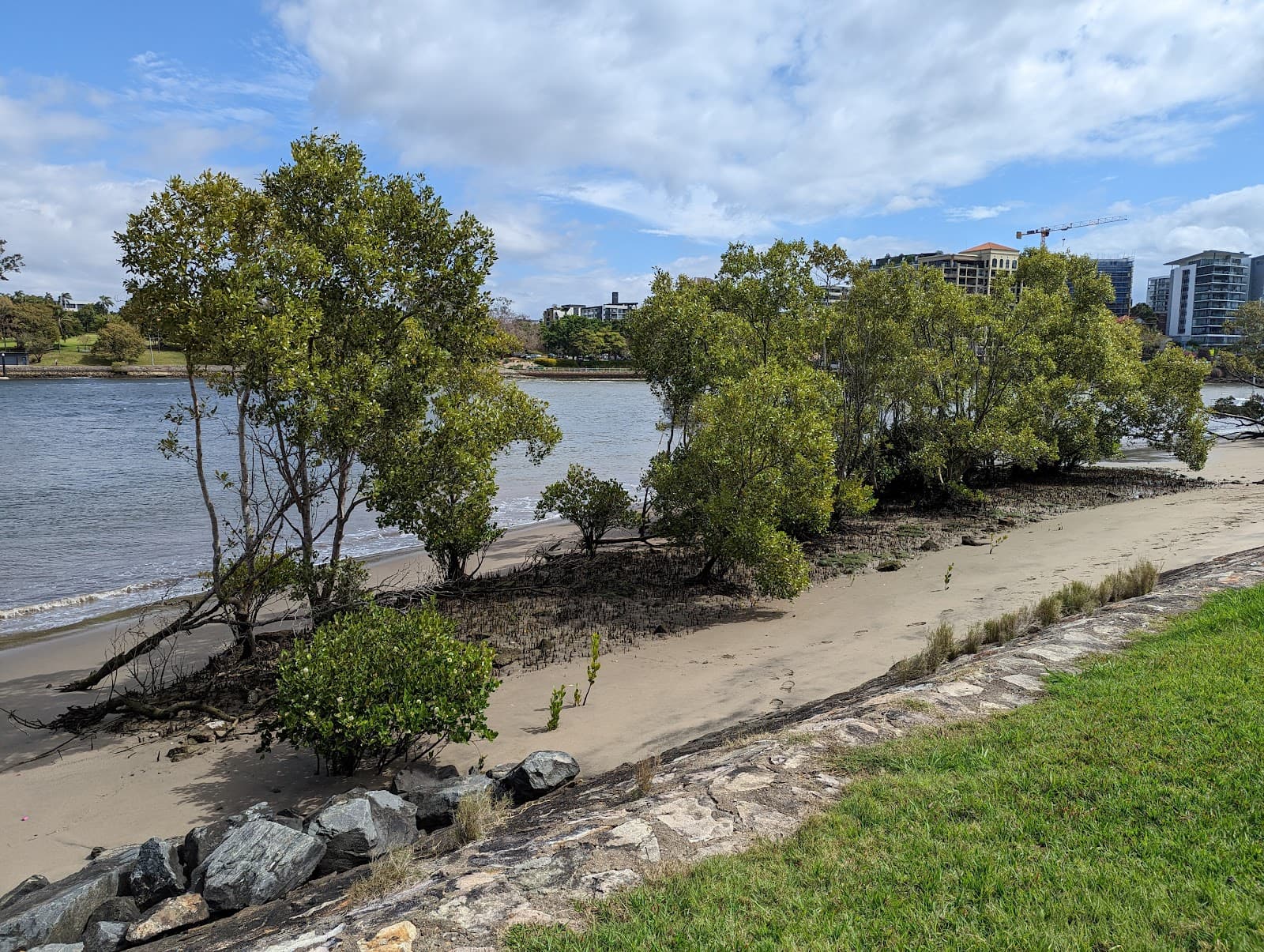 Merthyr Park — New Farm, Brisbane