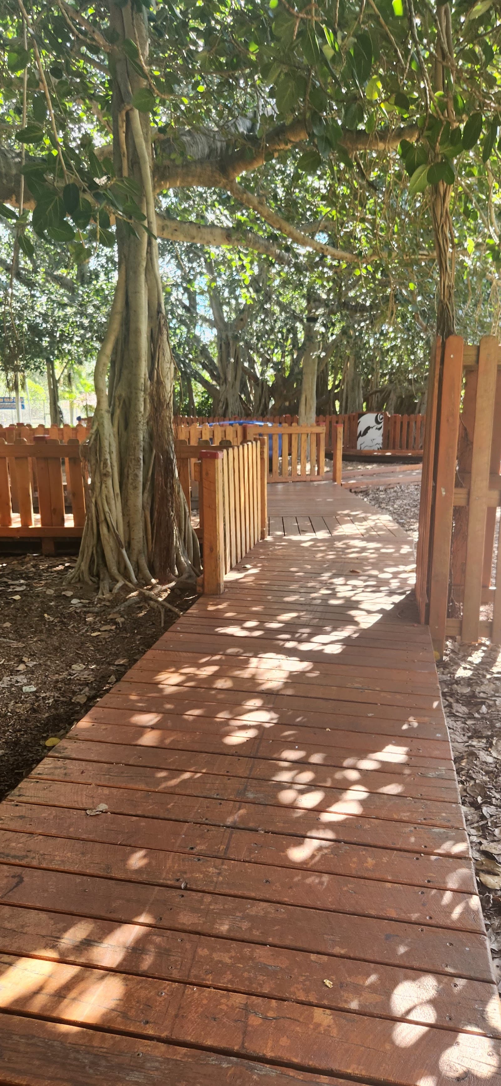 New Farm parkrun — New Farm, Brisbane