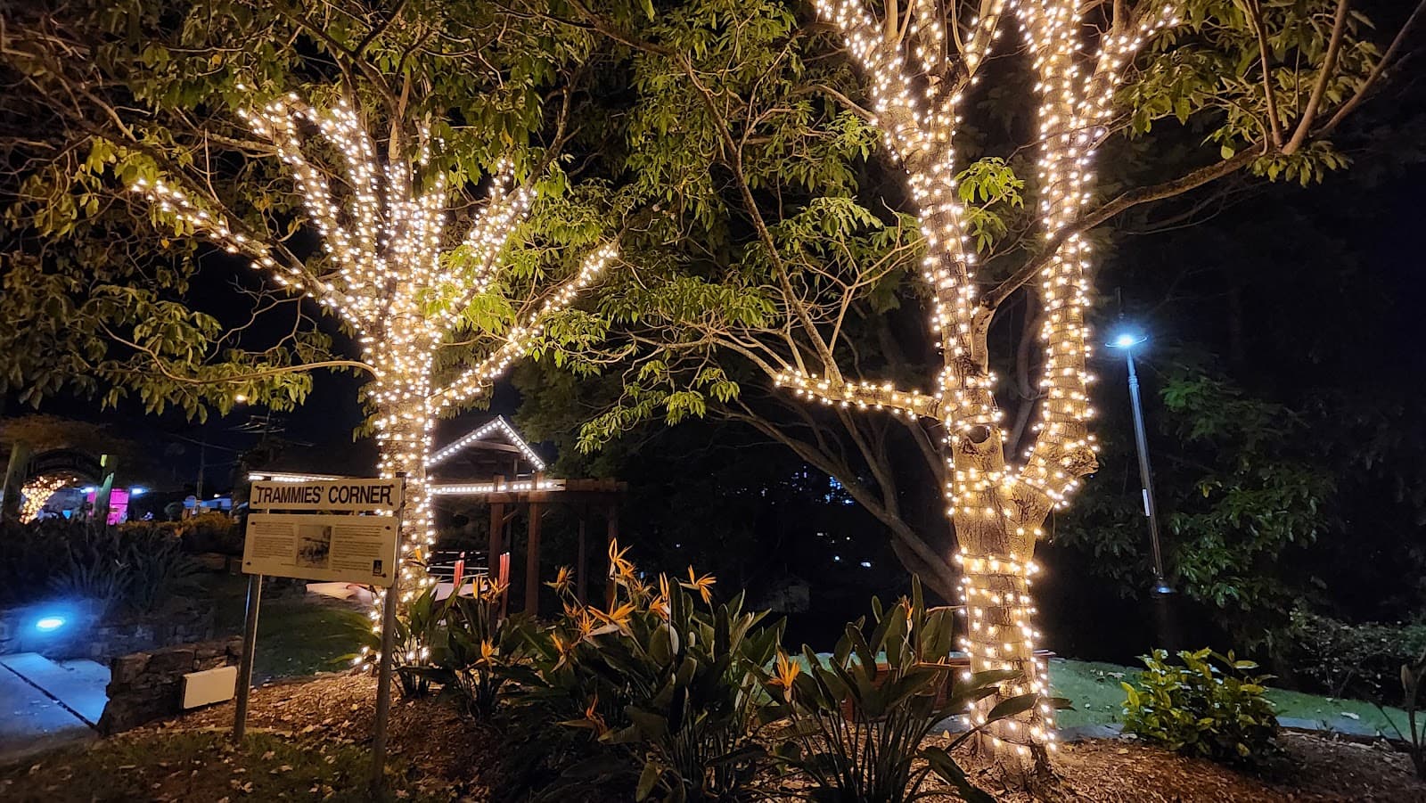 Trammies Corner — Paddington, Brisbane