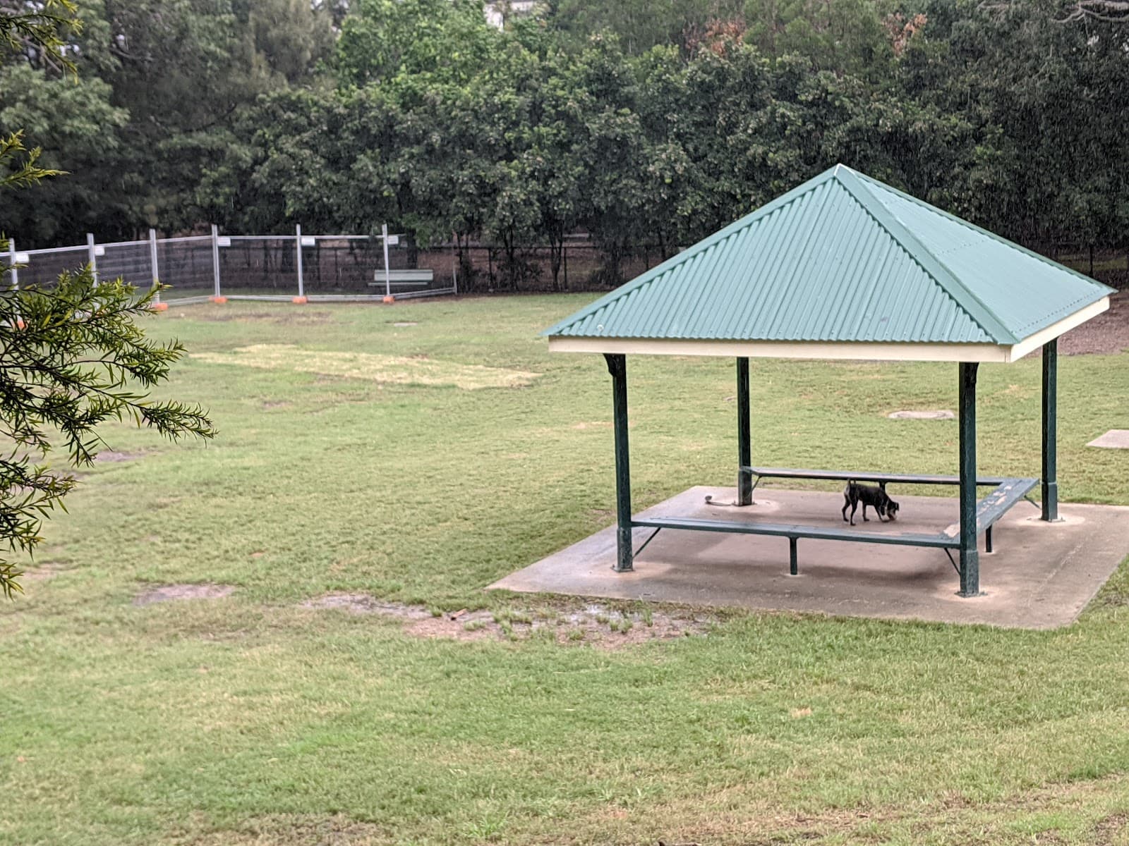 Neal Macrossan Playground Park Fenced Dog Park — Paddington, Brisbane