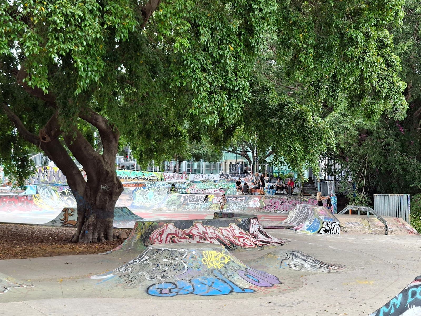 Paddington Skatepark Father Perry Place — Paddington, Brisbane
