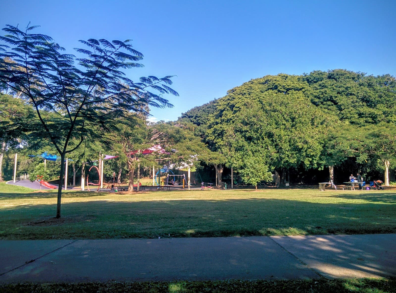 Woolcock Park — Paddington, Brisbane