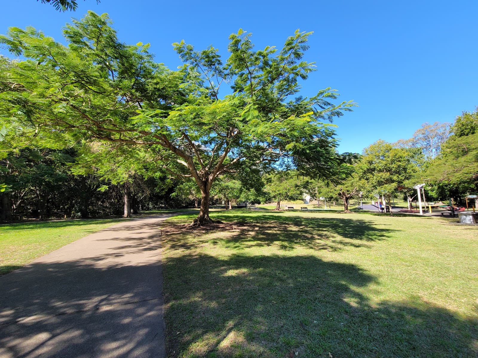Woolcock Park — Paddington, Brisbane