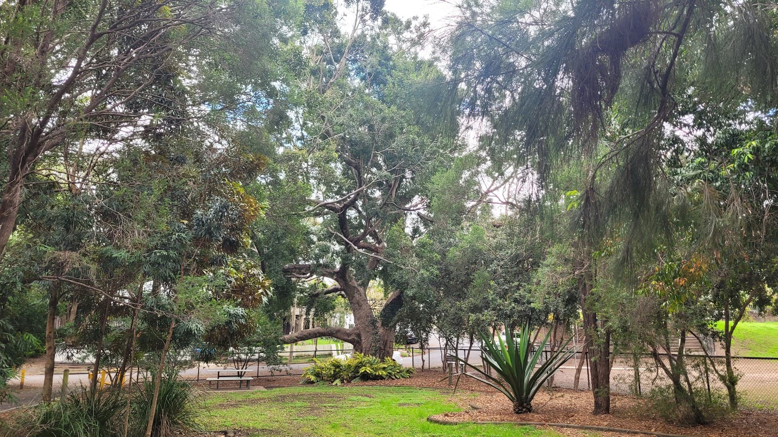 Communify Qld - Paddington Hall (Community Spaces) — Paddington, Brisbane