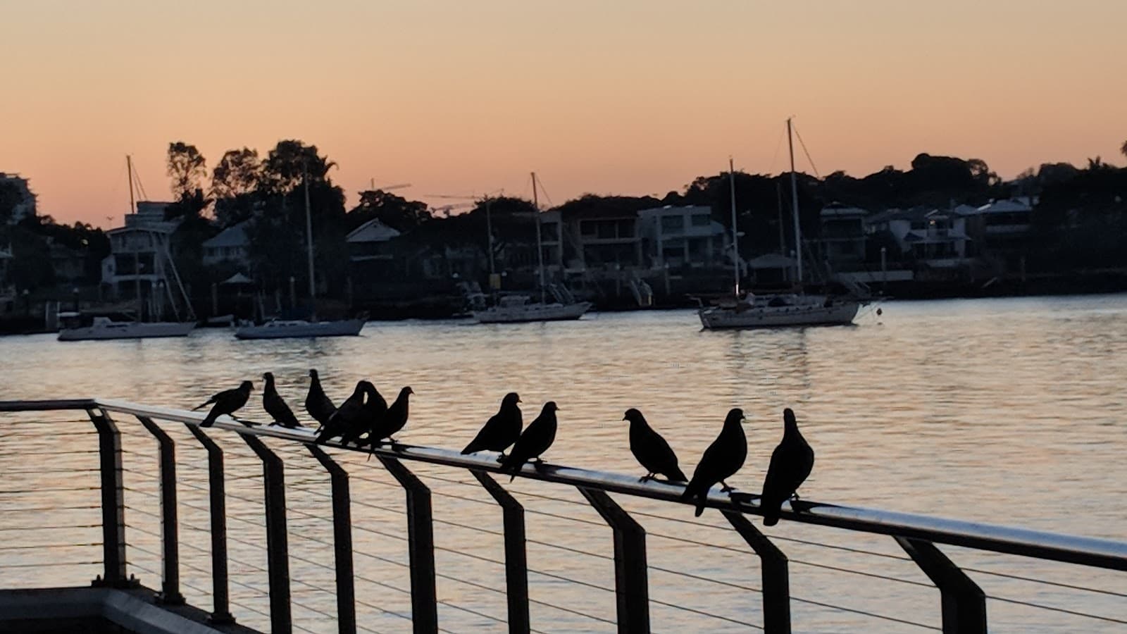 Wharf Park — Bulimba, Brisbane