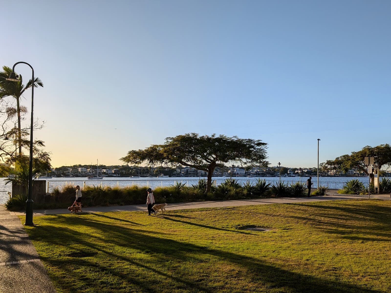 Wharf Park — Bulimba, Brisbane