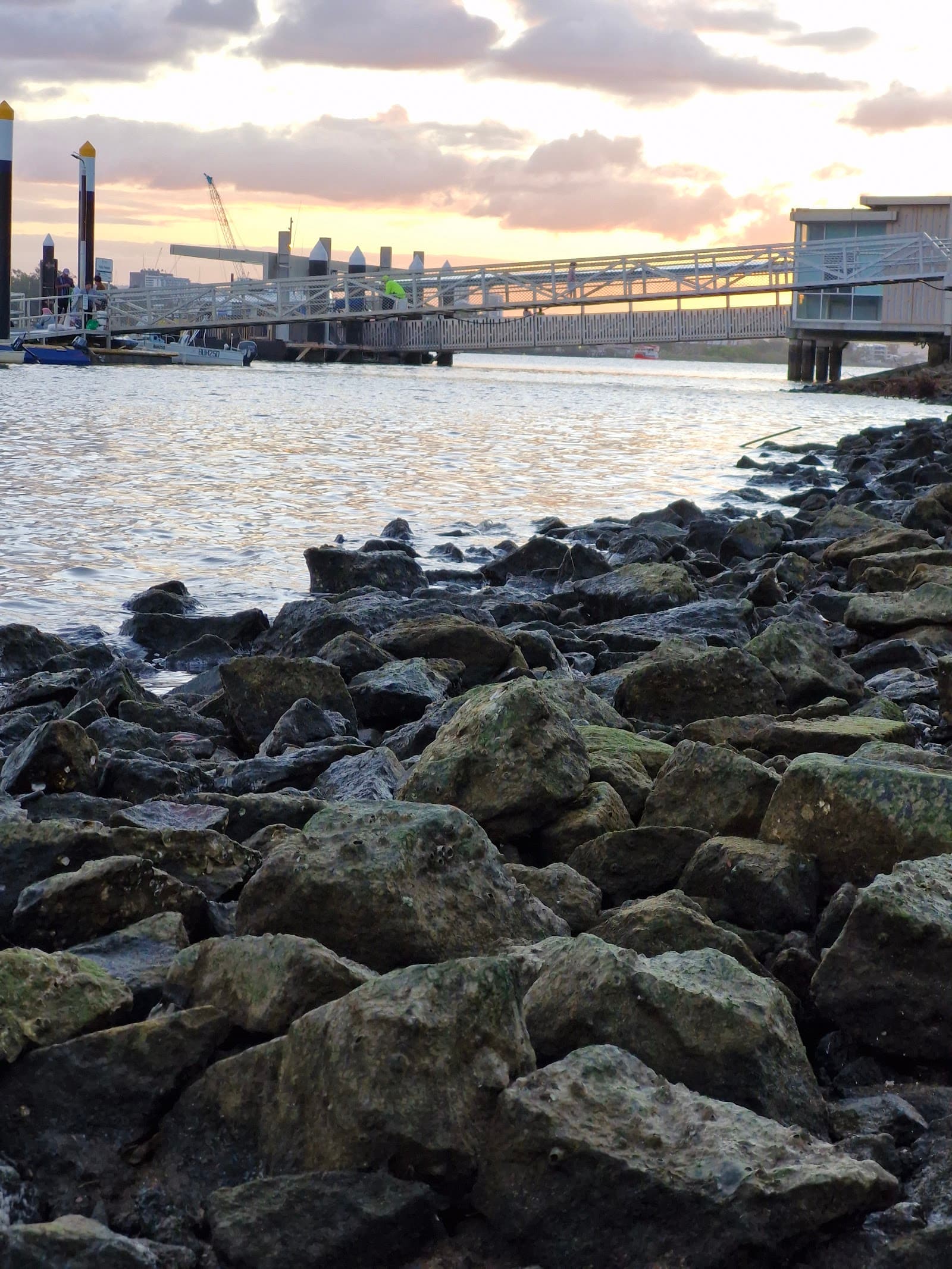 Northshore Riverside Park Beach ️ — Hamilton, Brisbane