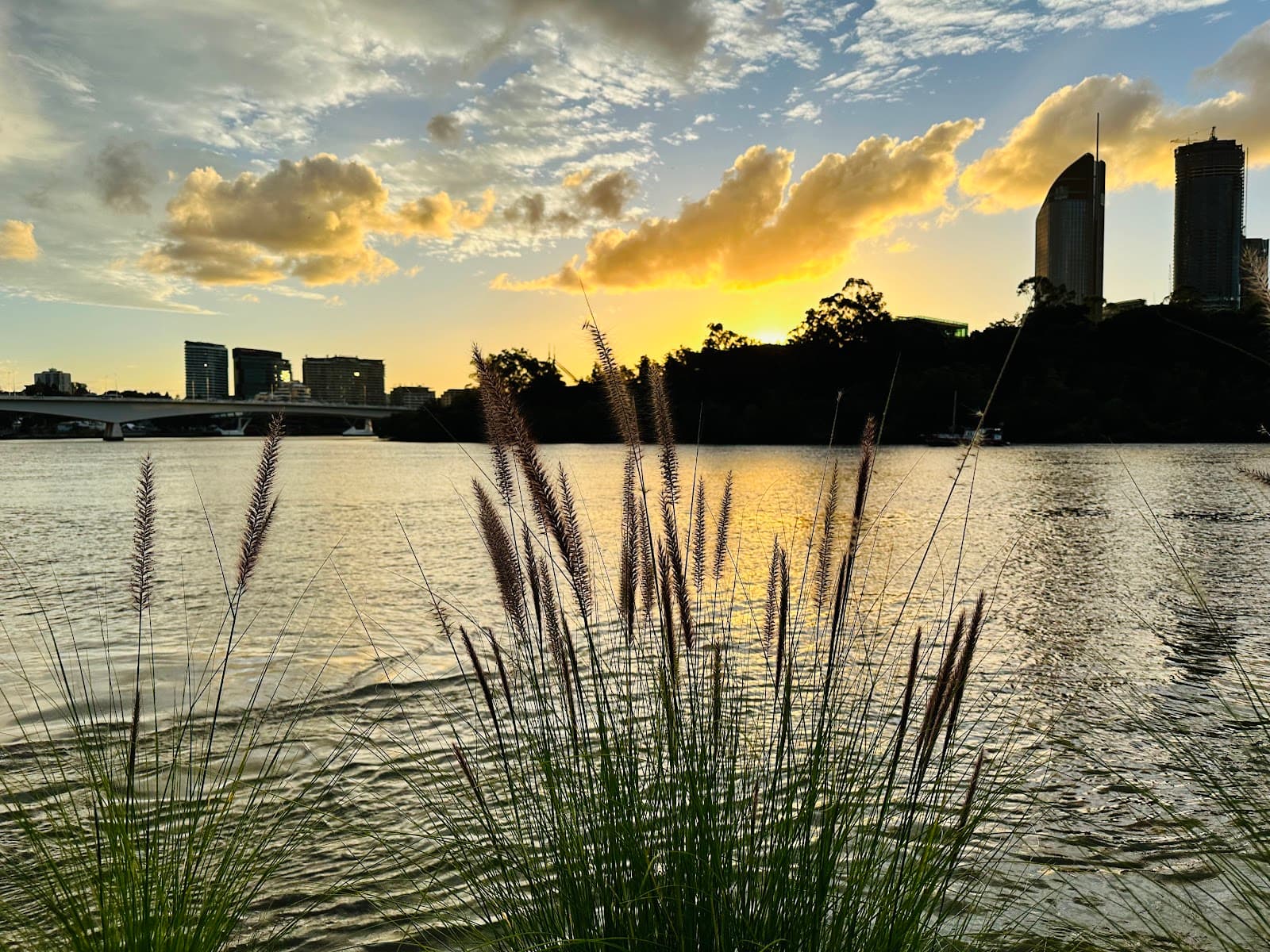 Kangaroo Point Picnic Area — Kangaroo Point, Brisbane