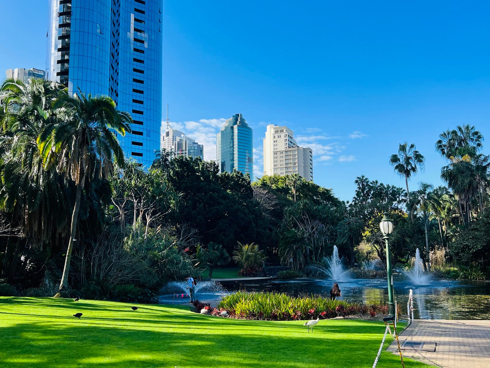City Botanic Gardens — Brisbane CBD, Brisbane