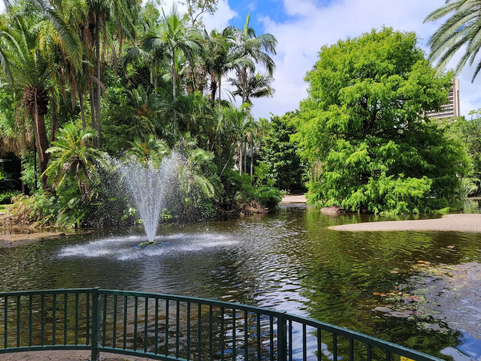 City Botanic Gardens — Brisbane CBD, Brisbane