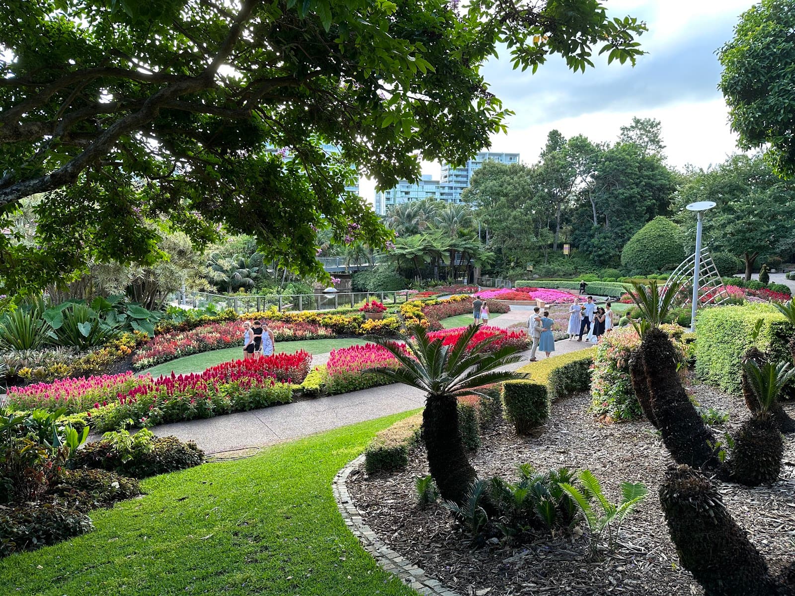Spectacle Garden at Colin Campbell Place - Roma Street Parklands — South Brisbane, Brisbane