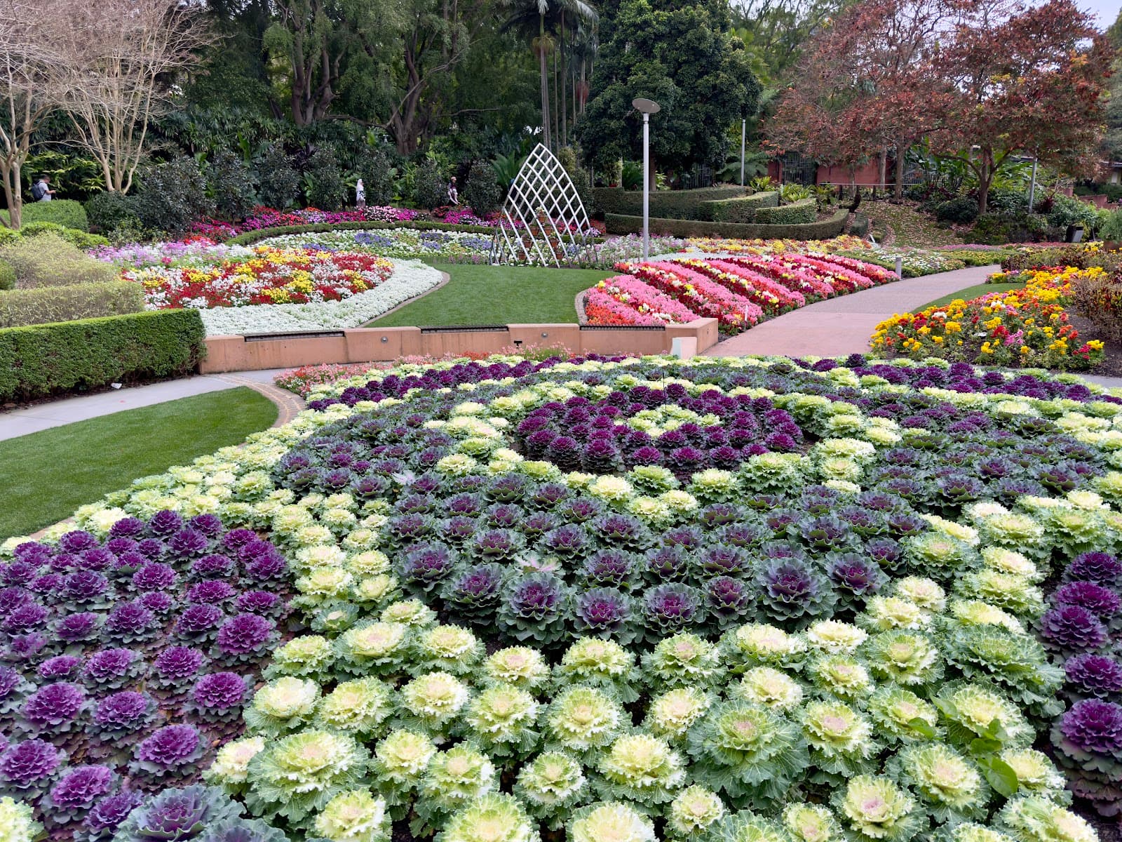 Spectacle Garden at Colin Campbell Place - Roma Street Parklands — South Brisbane, Brisbane