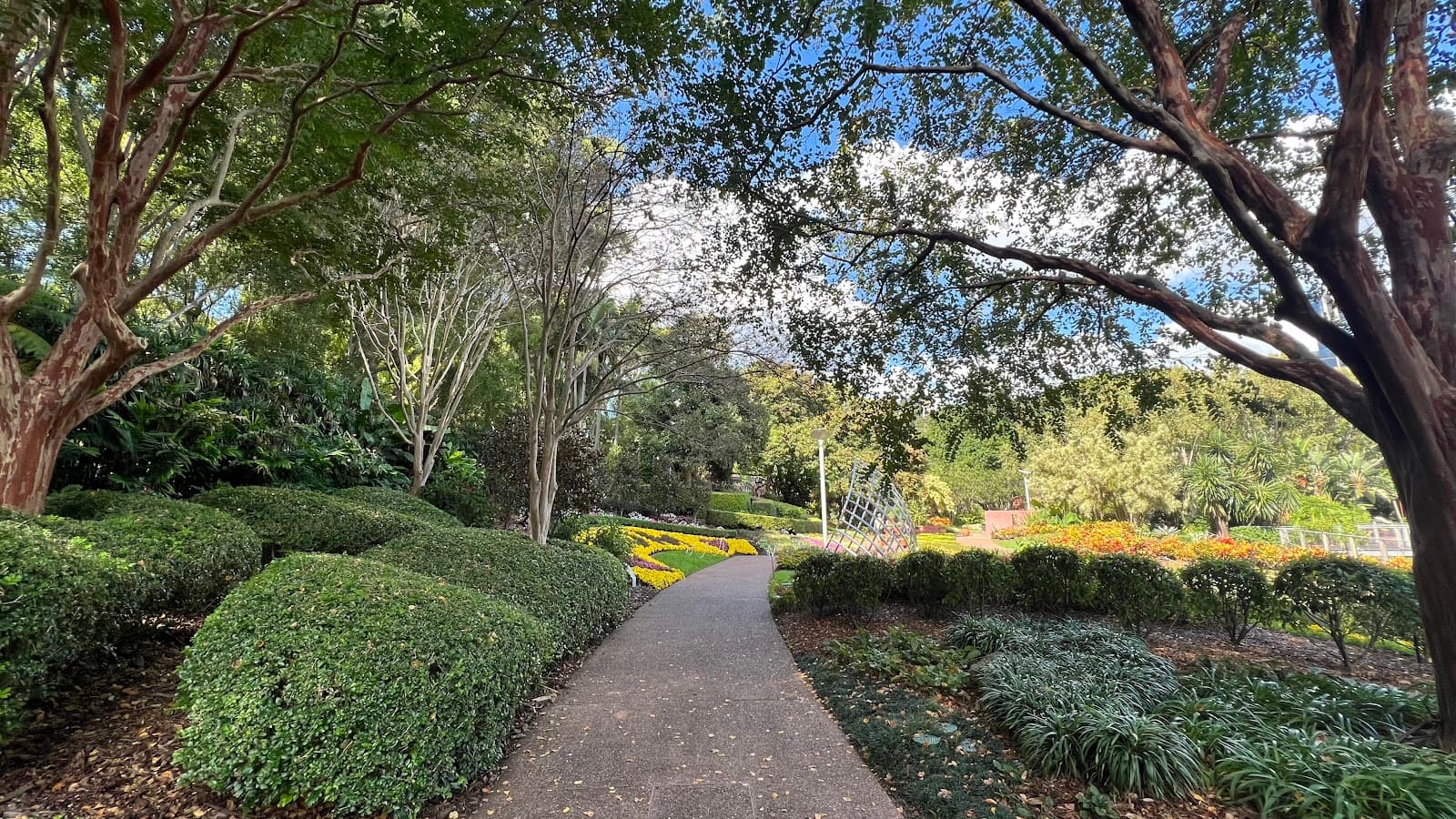 Spectacle Garden at Colin Campbell Place - Roma Street Parklands — South Brisbane, Brisbane