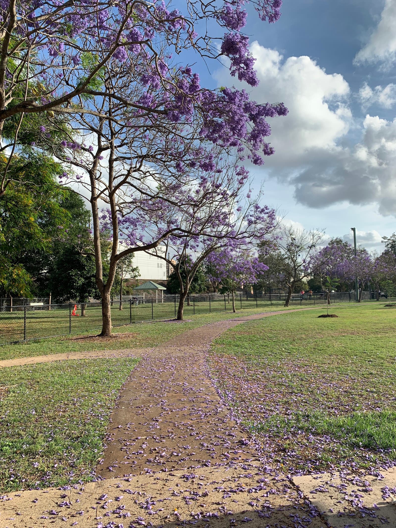Milton Park — Milton, Brisbane