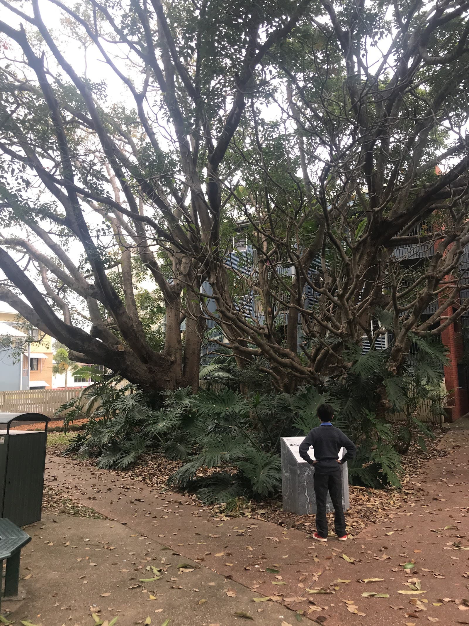 Bedgood Park — Milton, Brisbane