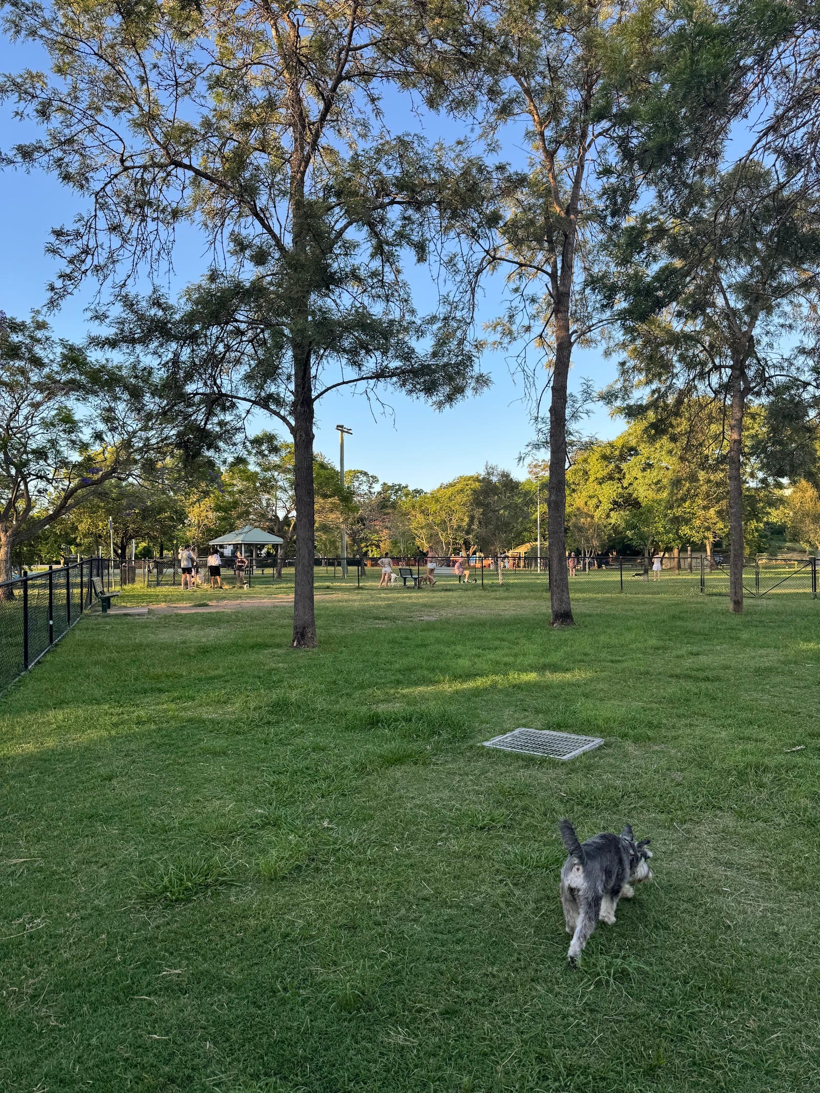 Milton Park Fenced Dog Park — Milton, Brisbane