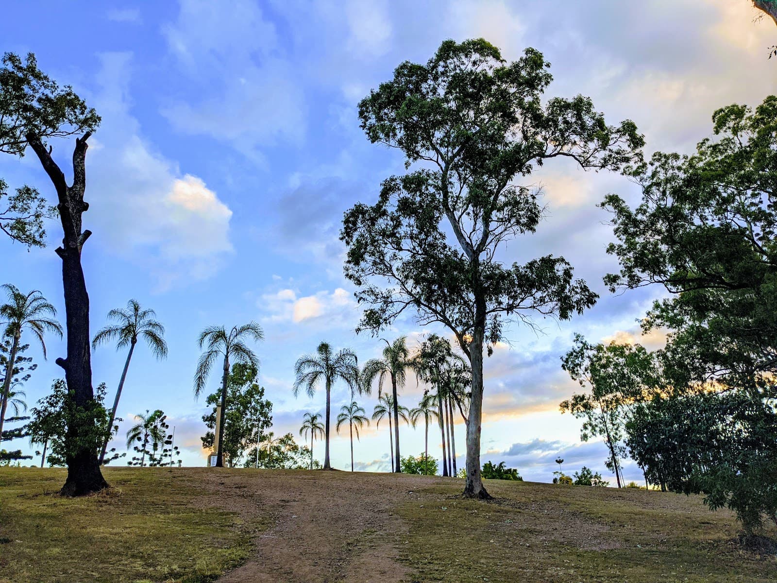 Toowong Memorial Park — Toowong, Brisbane