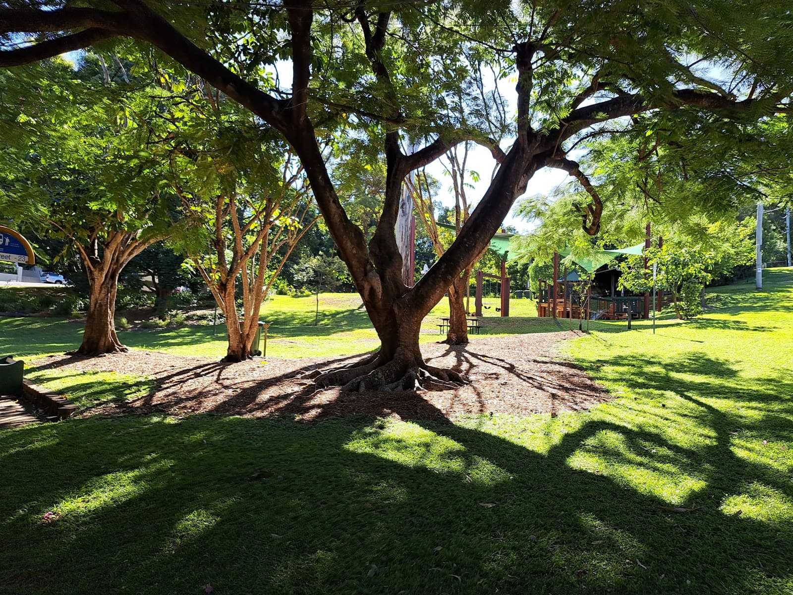 Lyons Playground Park — Indooroopilly, Brisbane