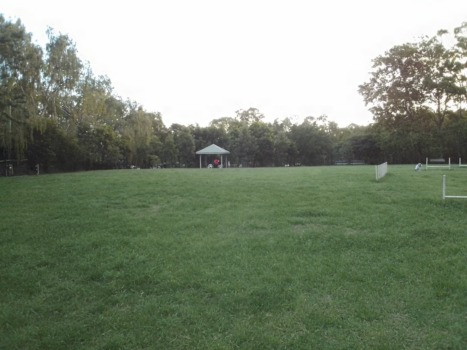 Anzac Park Fenced Dog Park — Toowong, Brisbane