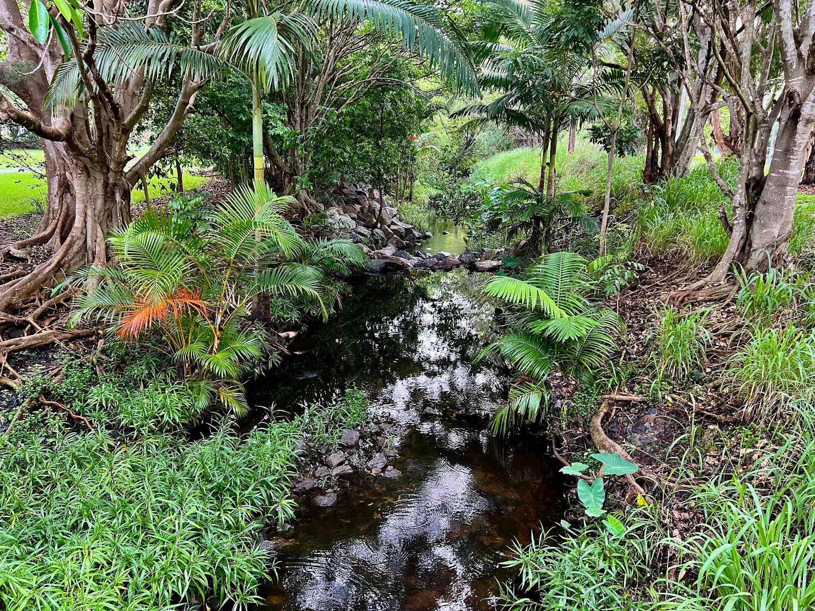 Huxtable Park — Chermside, Brisbane