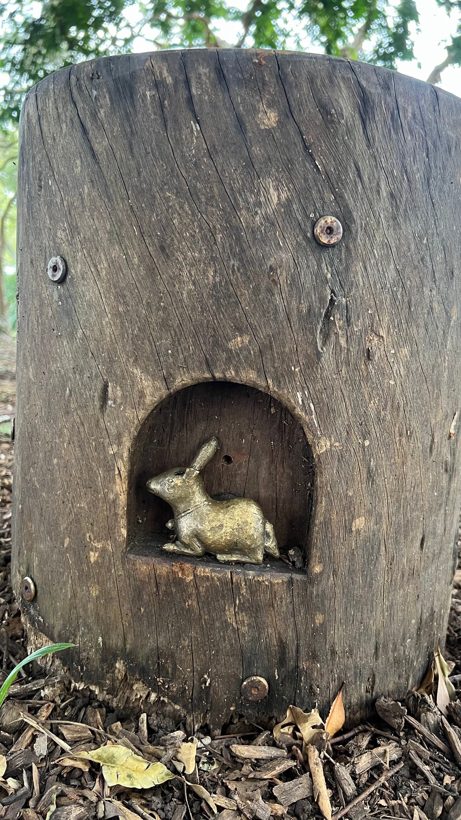 Magic Forest — Chermside, Brisbane