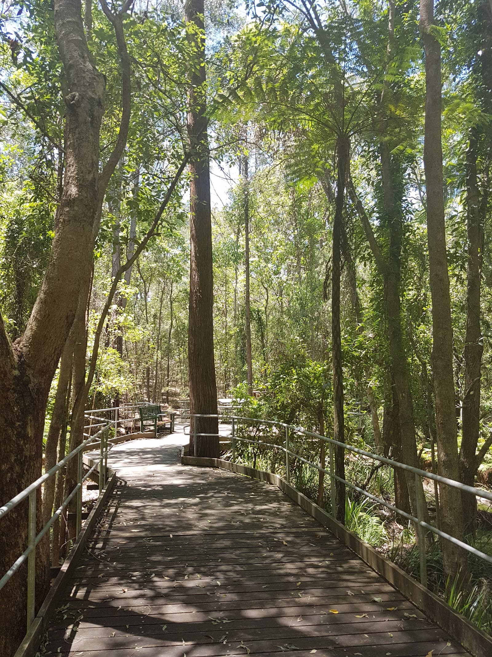 Raven Street Reserve — Chermside, Brisbane