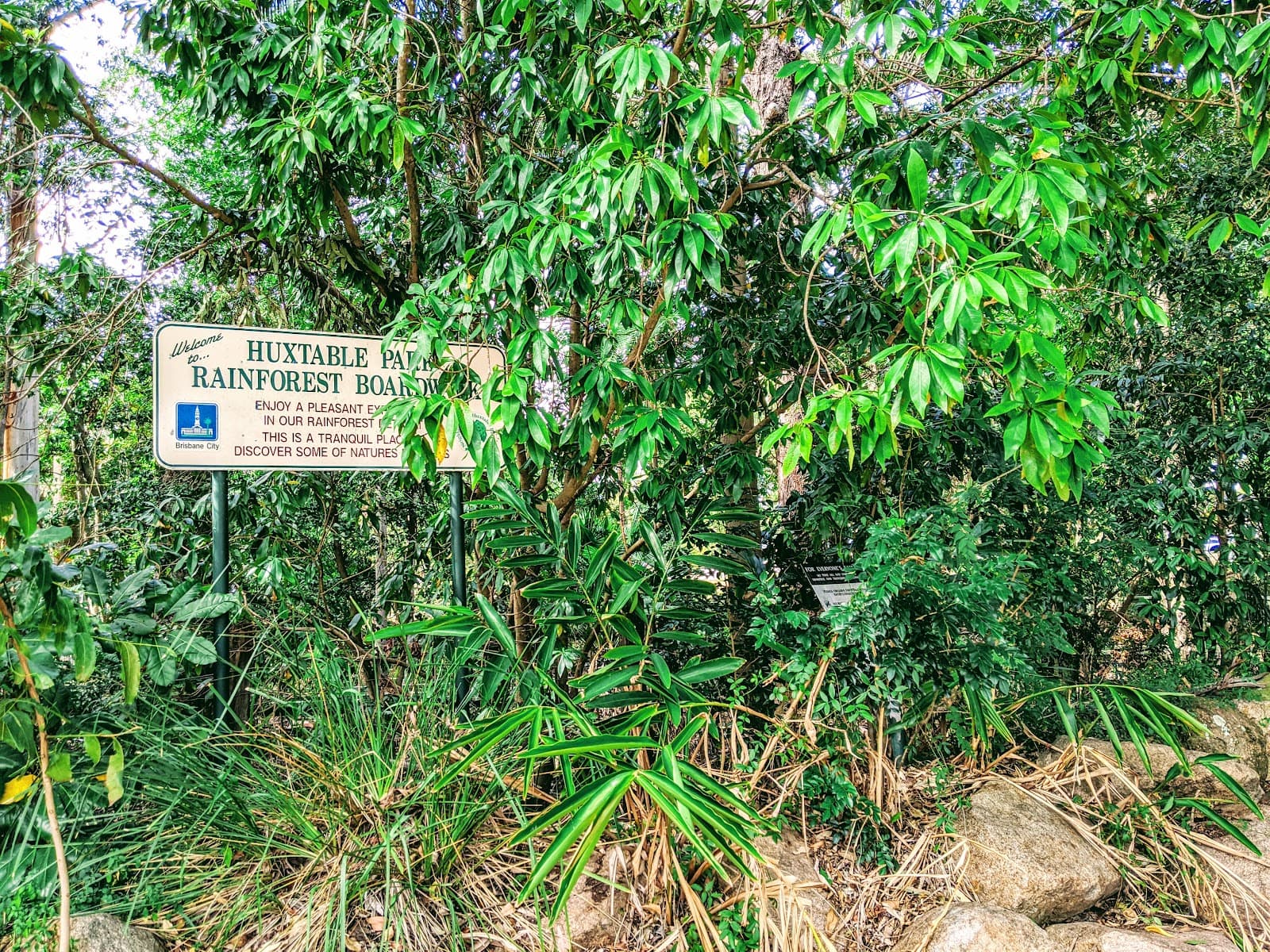 Huxtable Park Rainforest Boardwalk — Chermside, Brisbane