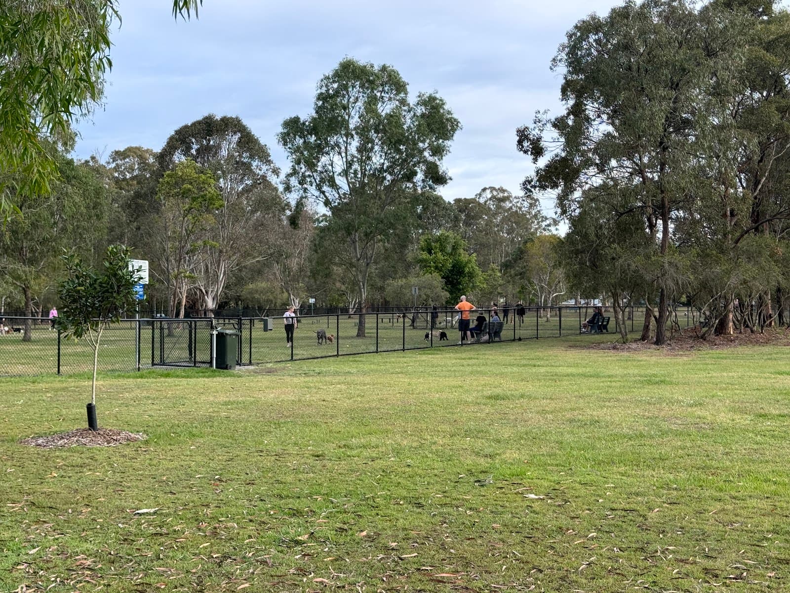 Marchant Park — Chermside, Brisbane