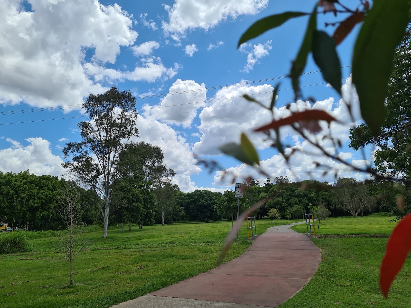 Rainbow Forest Park — Indooroopilly, Brisbane