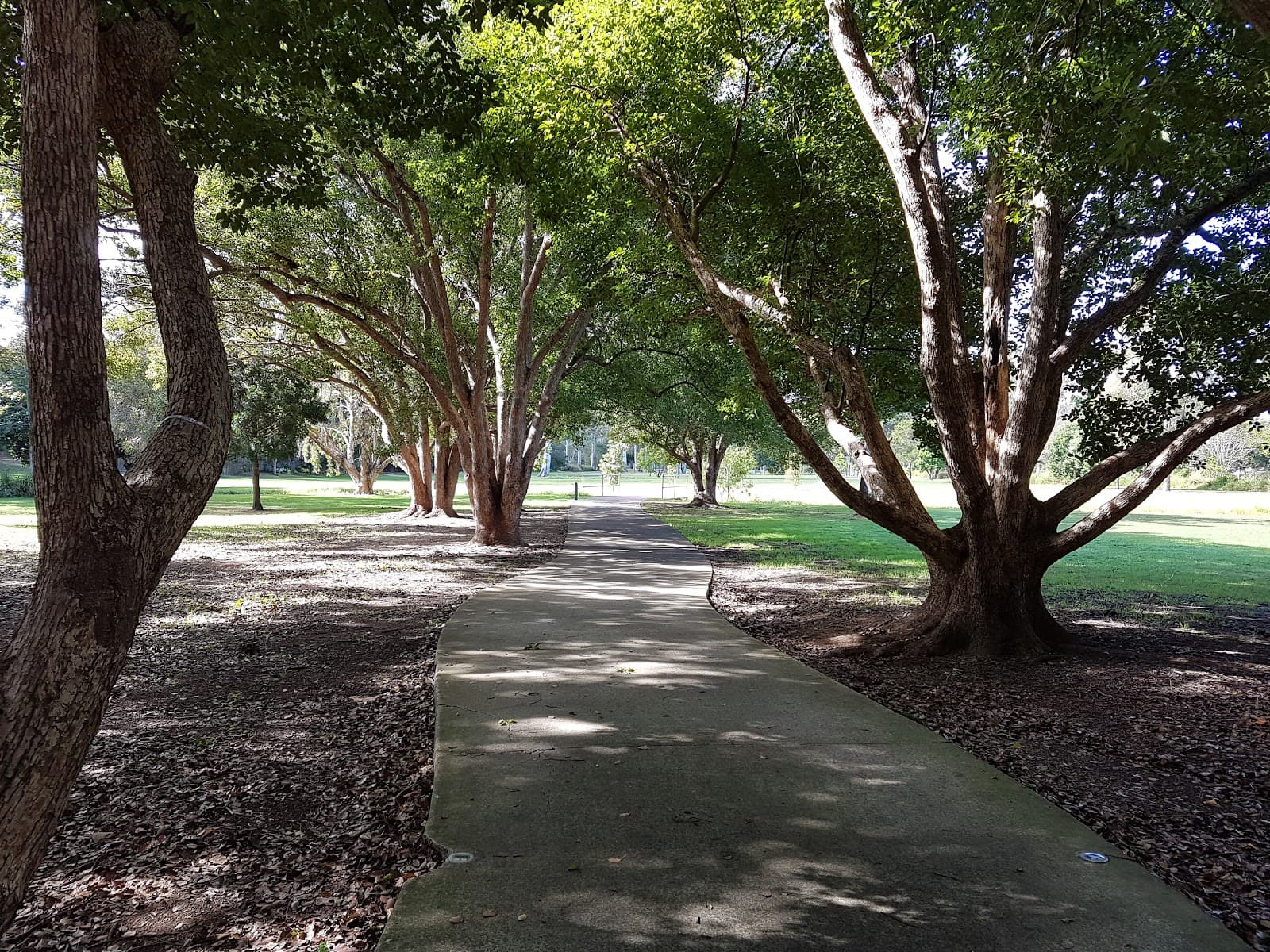Rainbow Forest Park — Indooroopilly, Brisbane
