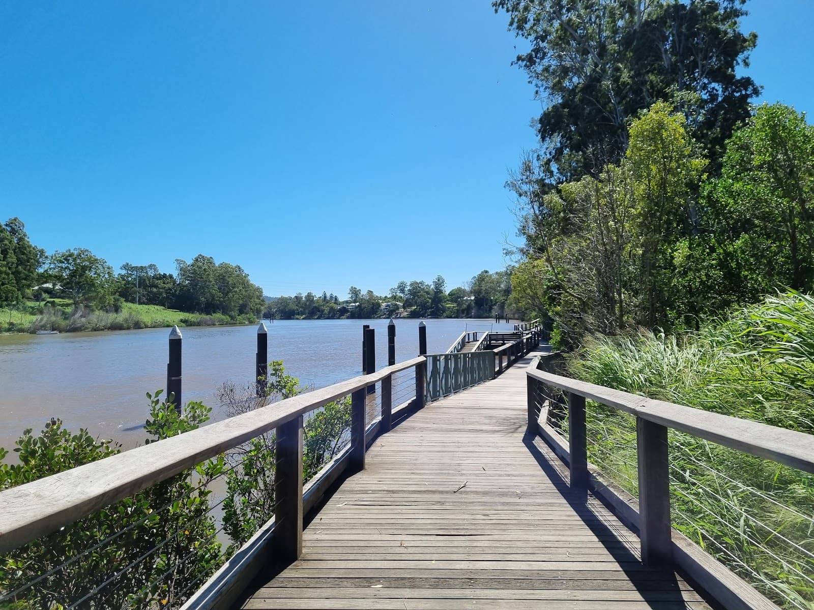 Sherwood Arboretum — Indooroopilly, Brisbane