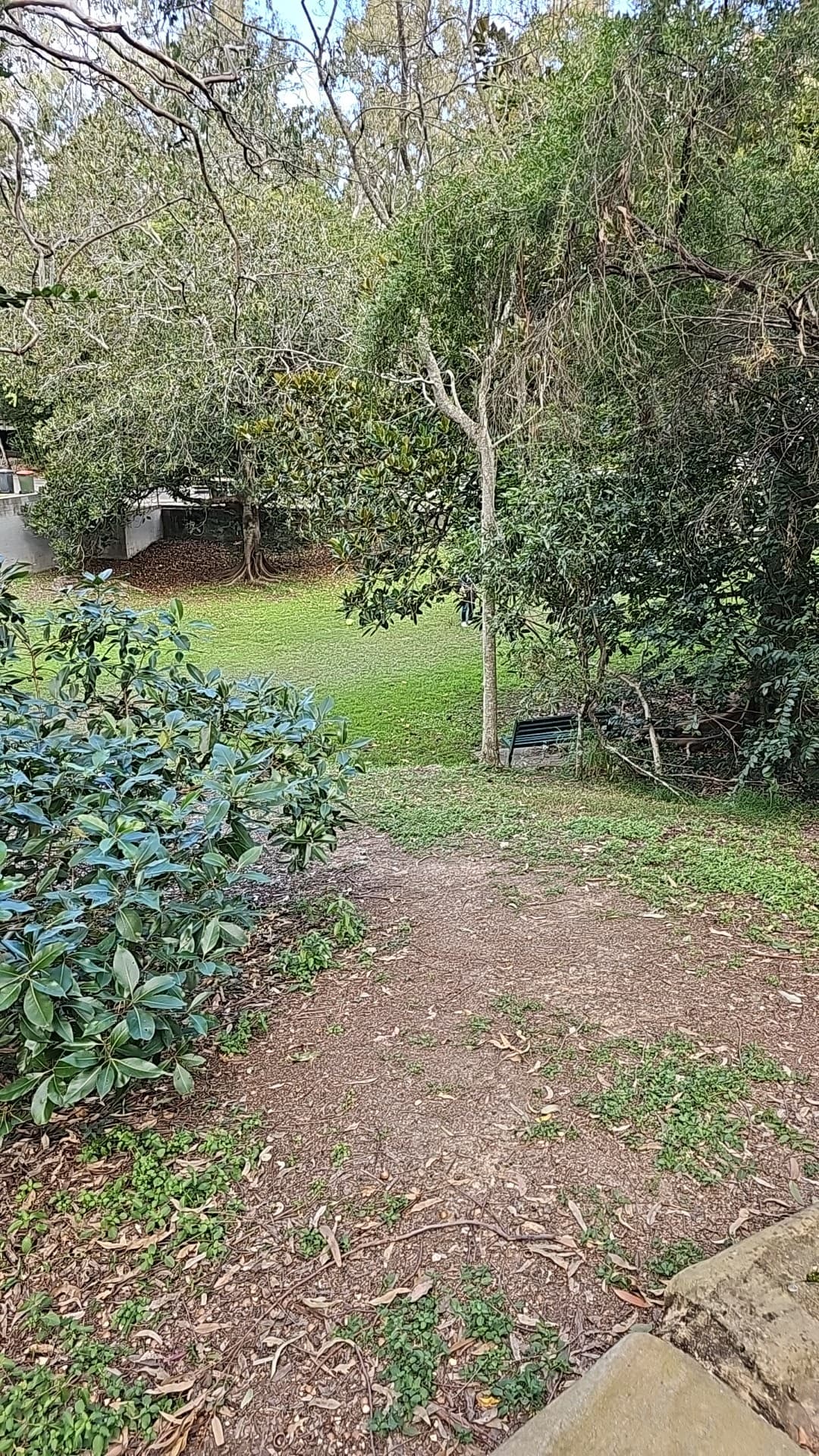 Rankin Street Park — Indooroopilly, Brisbane