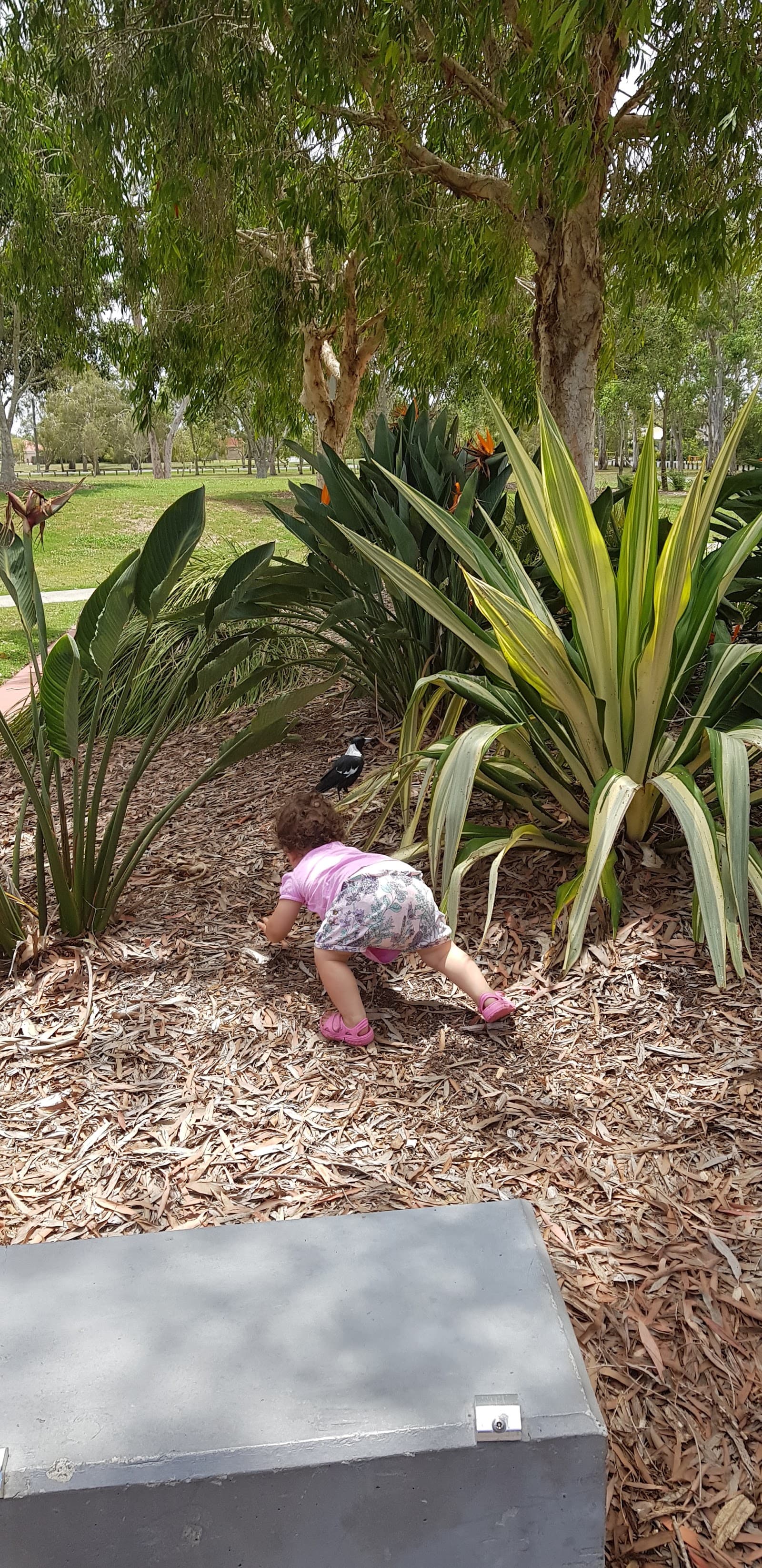 Ropley Road Park — Wynnum, Brisbane