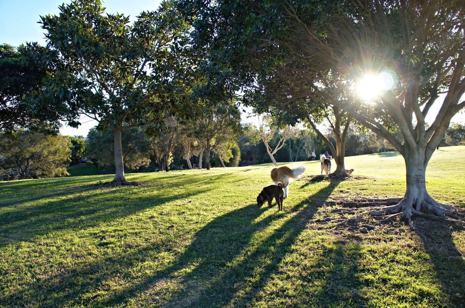 Elanora Park — Wynnum, Brisbane